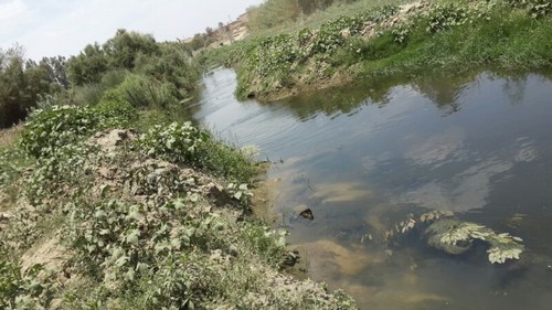 بالصور.. المياه الآسنة تلوث وادي أبها