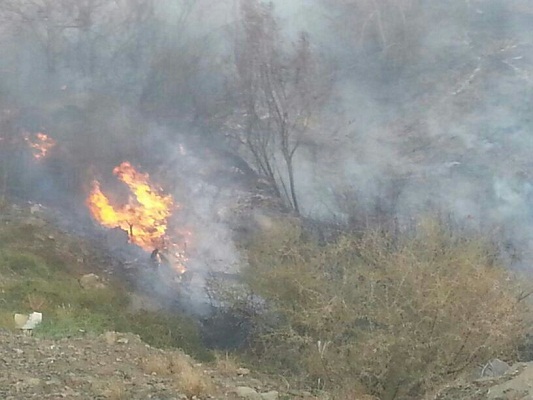 حريق يندلع في أعشاب وشجيرات وادي المحالة