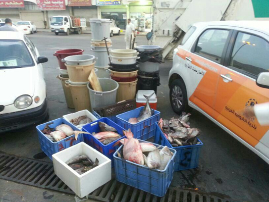 إغلاق سوق السمك بكعكية مكة بعد رصد مخالفات صحية