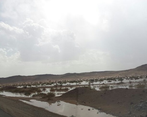بعد موجة الغبار.. محافظة رنية تغتسل بالمطر