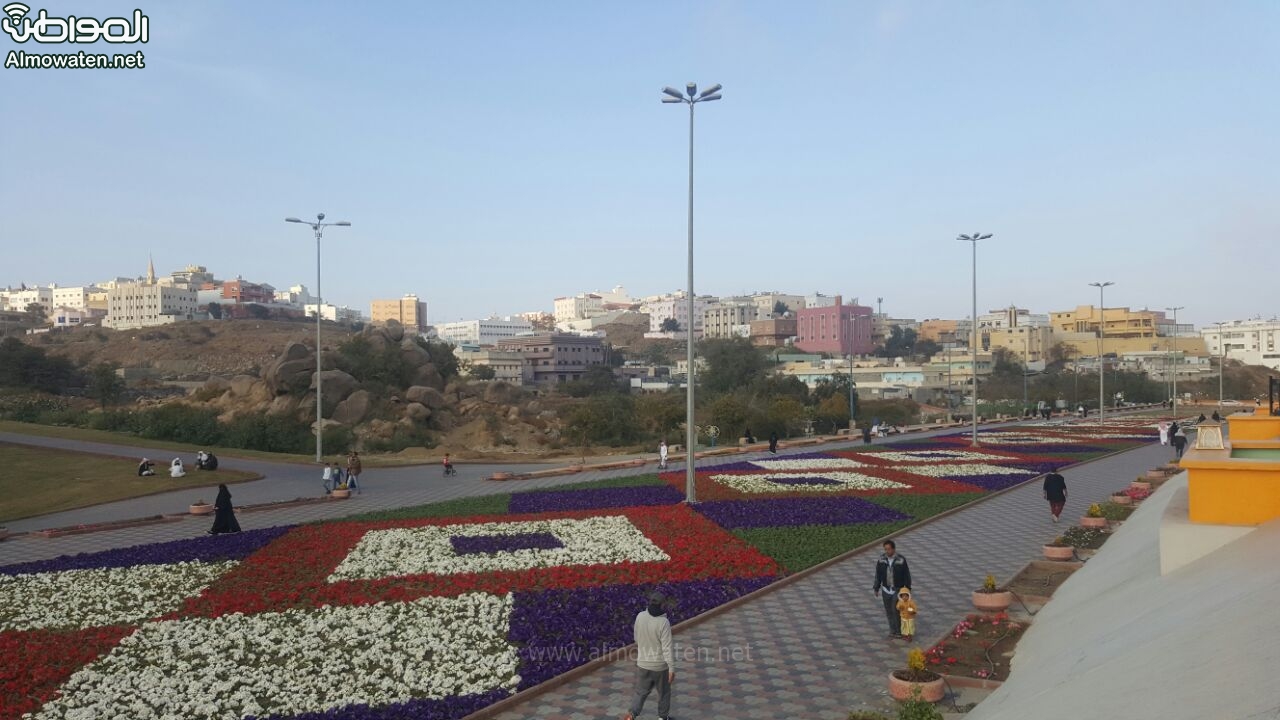 “المواطن” ترصد بالفيديو والصور .. ممشى الورد يزيد أبها جمالاً في الشتاء