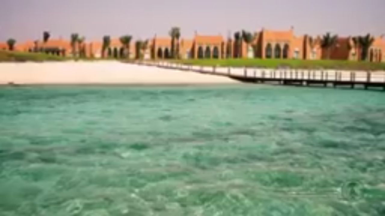 بالفيديو .. إنقاذ 10 دلافين احتُجزت في مياه ضحلة بمدينة الملك عبدالله الاقتصادية