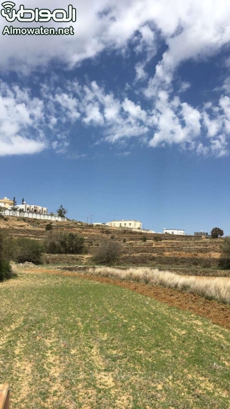 الطقس في ابها