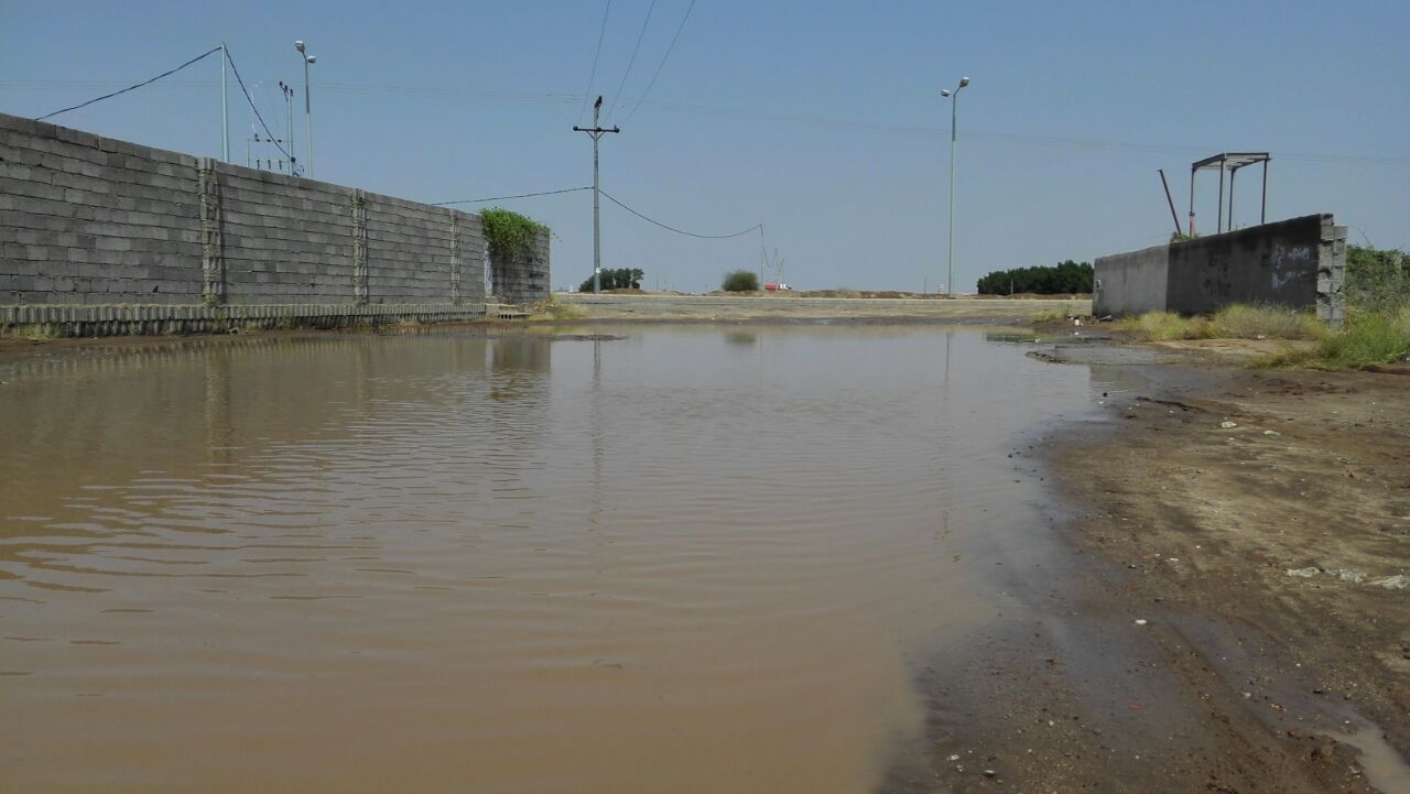 بالصور.. حي العباسية بصامطة يشكو الإهمال ونقص الخدمات