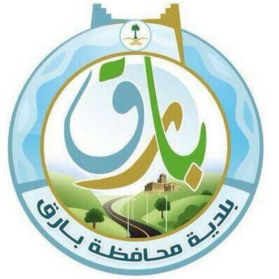 مواقع استثمارية في محافظة بارق للتأجير