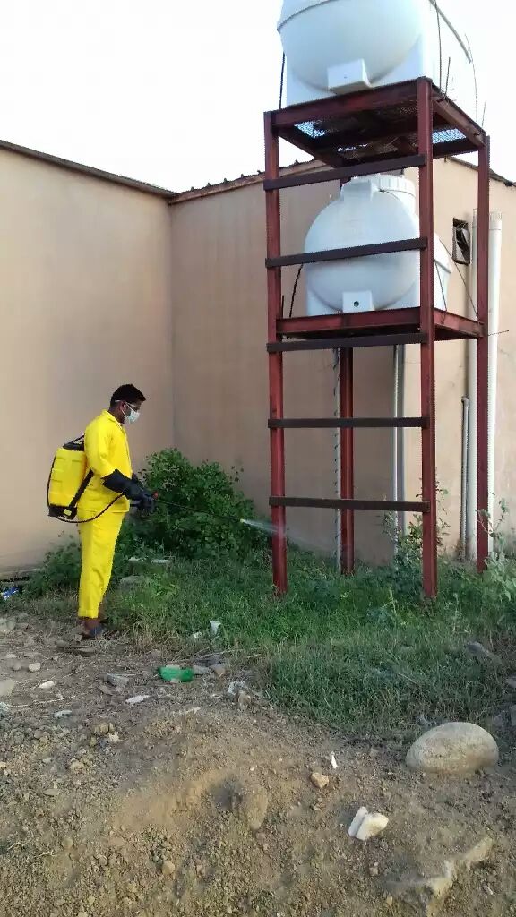 بلدية القفل بصامطة تكافح الحشرات في المستنقعات ومحيط المنازل بعد أمطار جازان