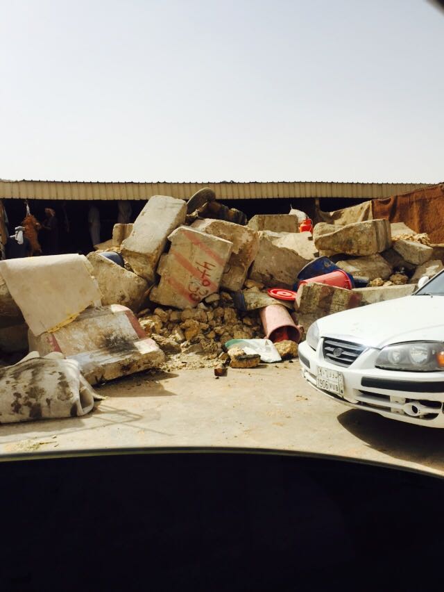 بالفيديو .. عمالة سائبة تذبح الأغنام وسط القمامة في الرياض