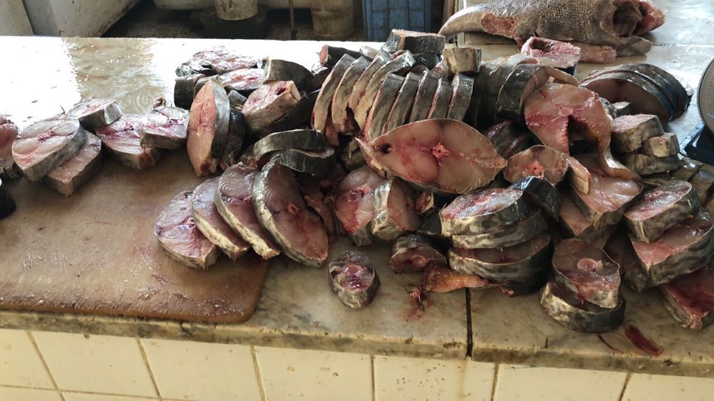 مصادرة أسماك فاسدة في سوق السمك بمكة المكرمة - المواطن