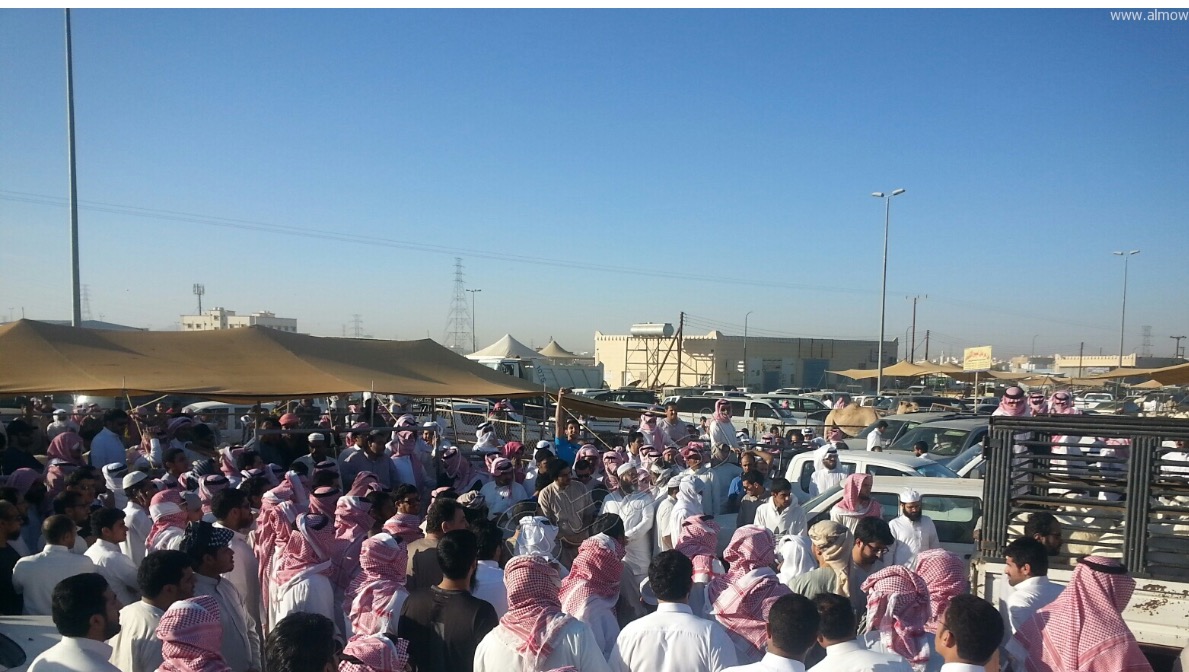 “المواطن” ترصد أسعار الأضاحي بخميس مشيط
