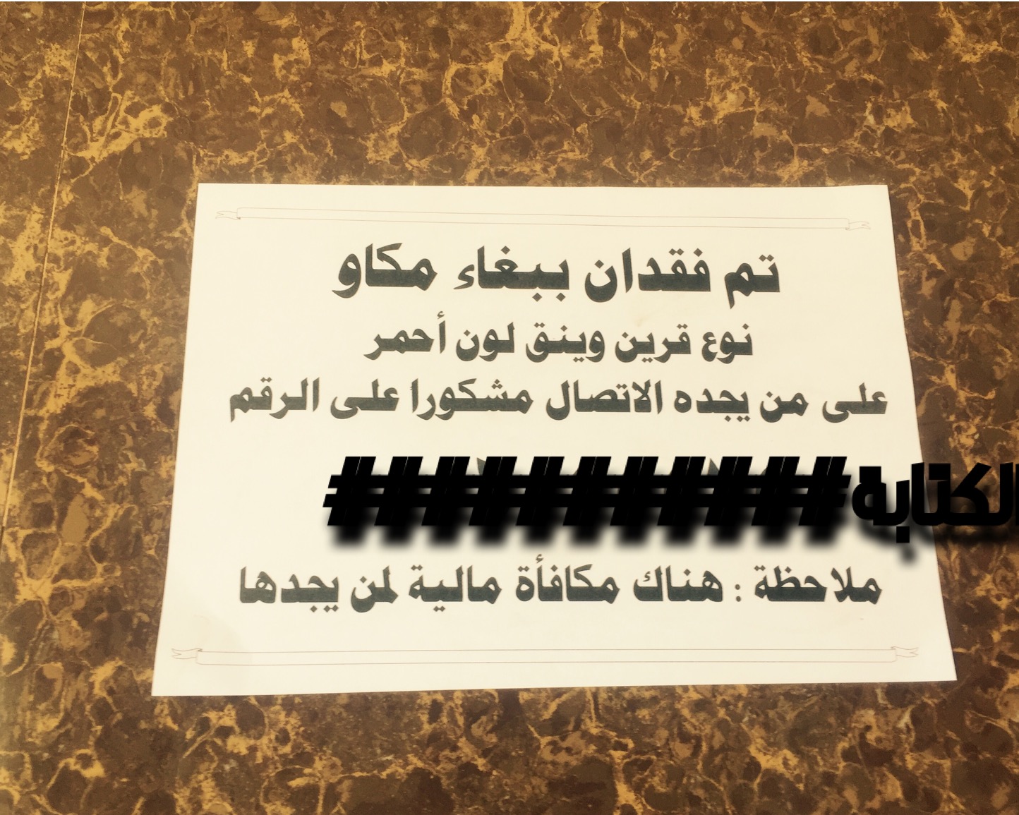 منشور عن ببغاء تائه في خميس مشيط يثير استغراب المواطنين