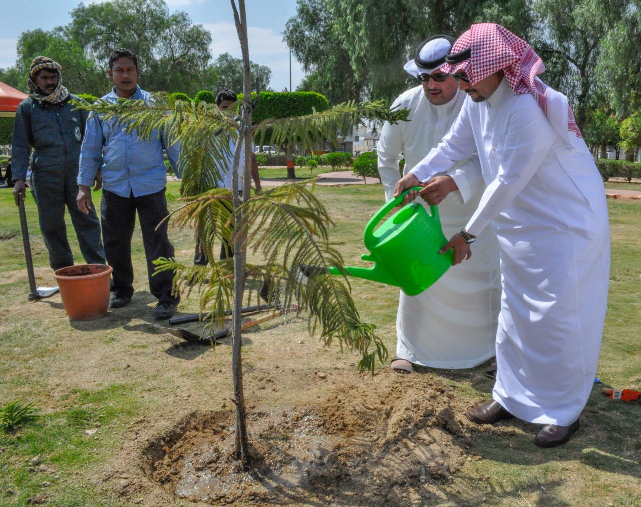 بالصور.. بدء زراعة مليون شجرة في خميس مشيط