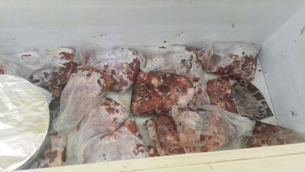 بالصور.. مصادرة طن من اللحوم والأسماك والدواجن بمطبخ عشوائي في مكة