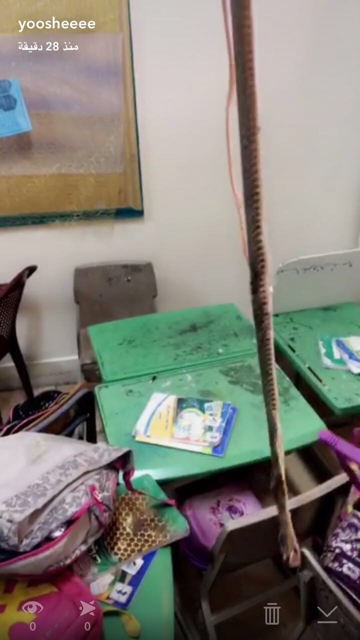 بالصور.. الثعابين تهدد حياة المعلمات والطالبات بمدرسة في خميس مشيط