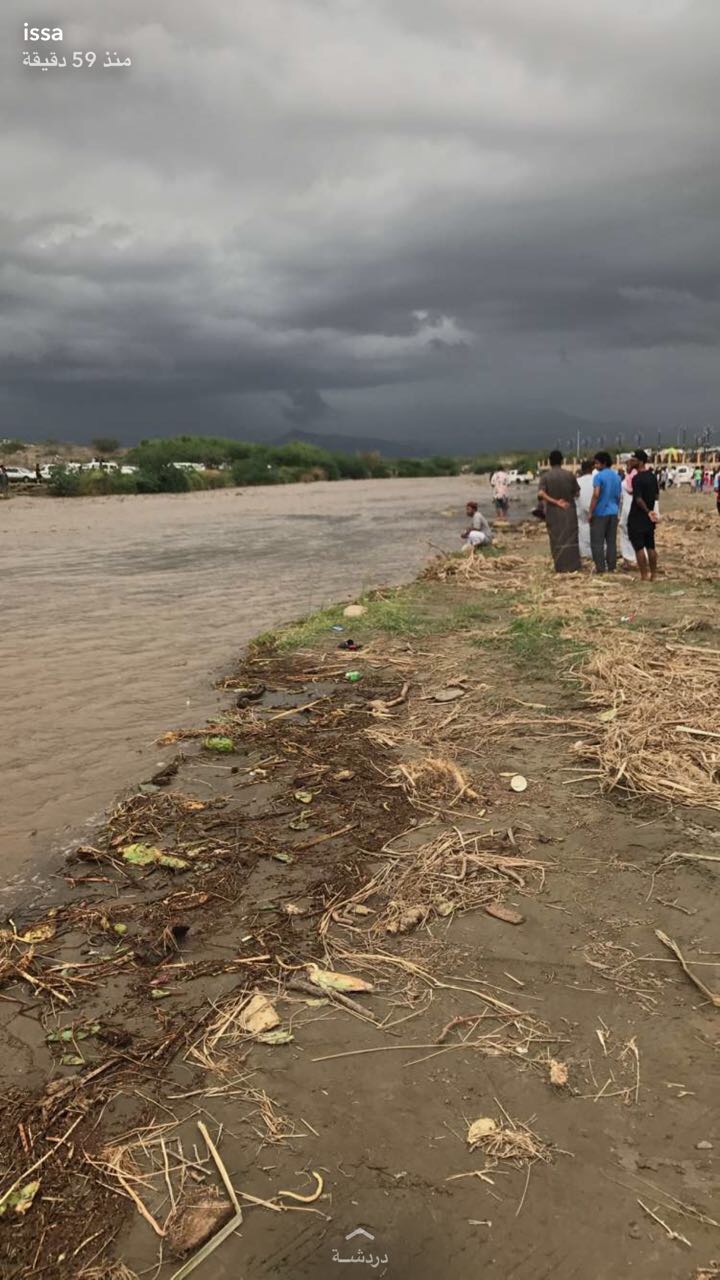 بالفيديو والصور.. أمطار غزيرة على جازان والضباب يكسو المرتفعات