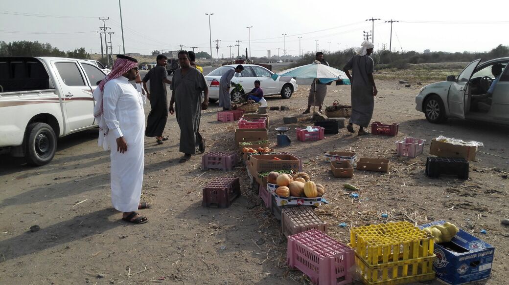 بلدية الطوال تتعقب البسطات العشوائية وتصادر 206 كلغ من الأغذية الفاسدة