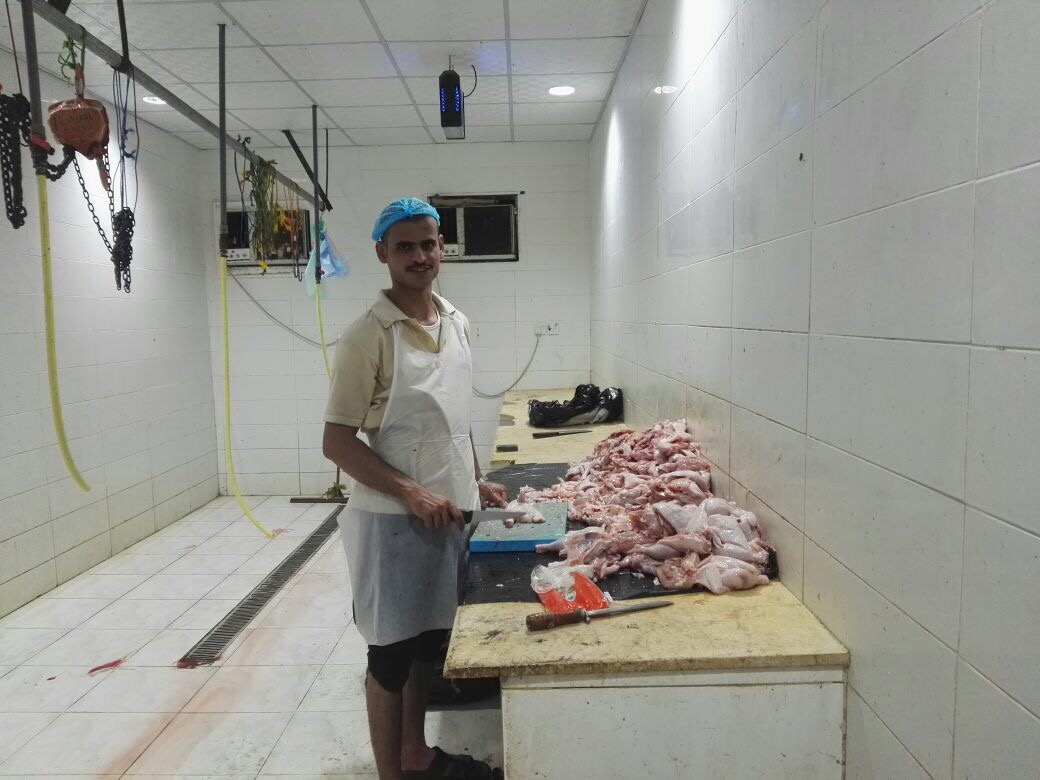 بالصور.. جولات لبلدية المسارحة تصادر 50 كيلو غرامًا من اللحوم والأسماك الفاسدة