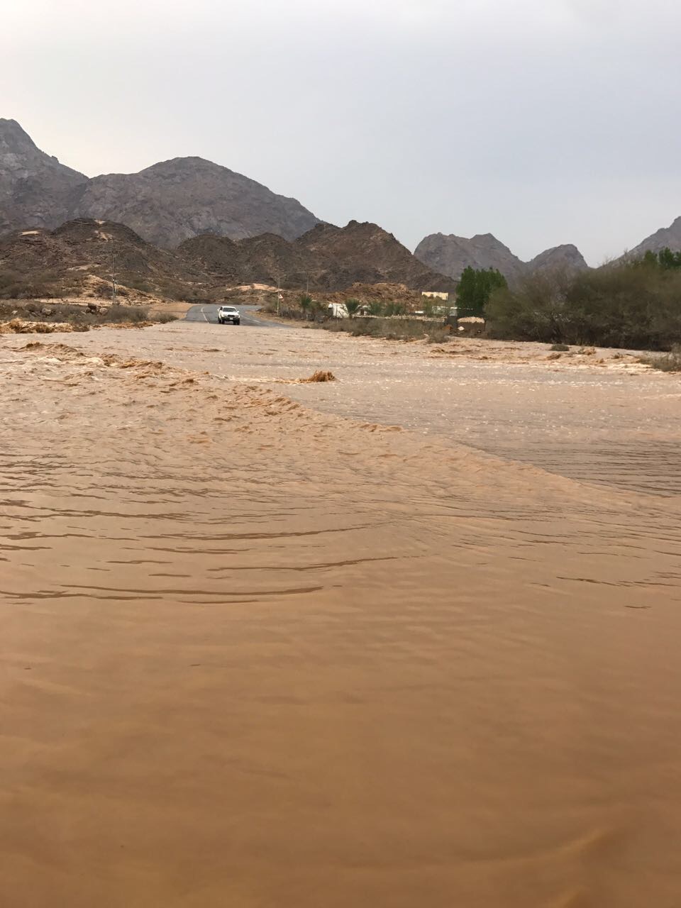 بالصور.. الأمطار تلطف الأجواء وتسيل الأودية في قرى كساب