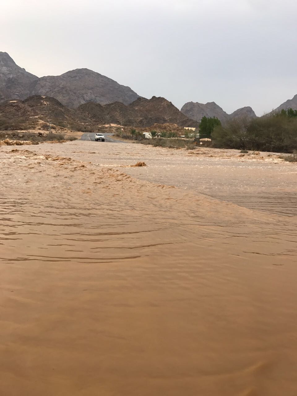 إنقاذ عائلة من 5 أشخاص احتجزهم سيل وادي هياج