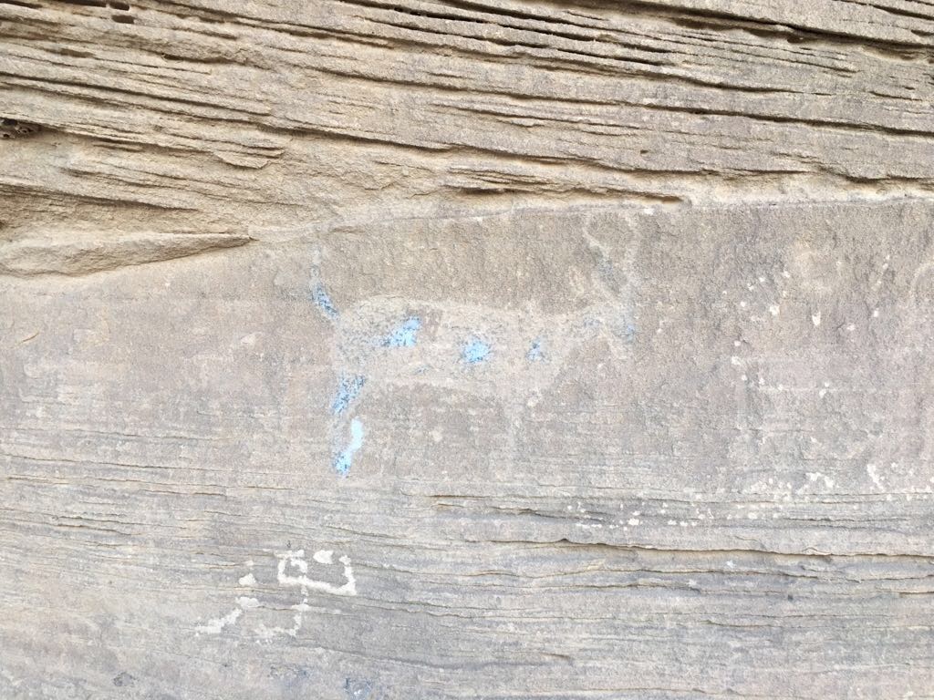 بالصور.. مرابط يوثق نقوشاً ورسومات قديمة على صخور منطقة حصن الحماد بظهران الجنوب