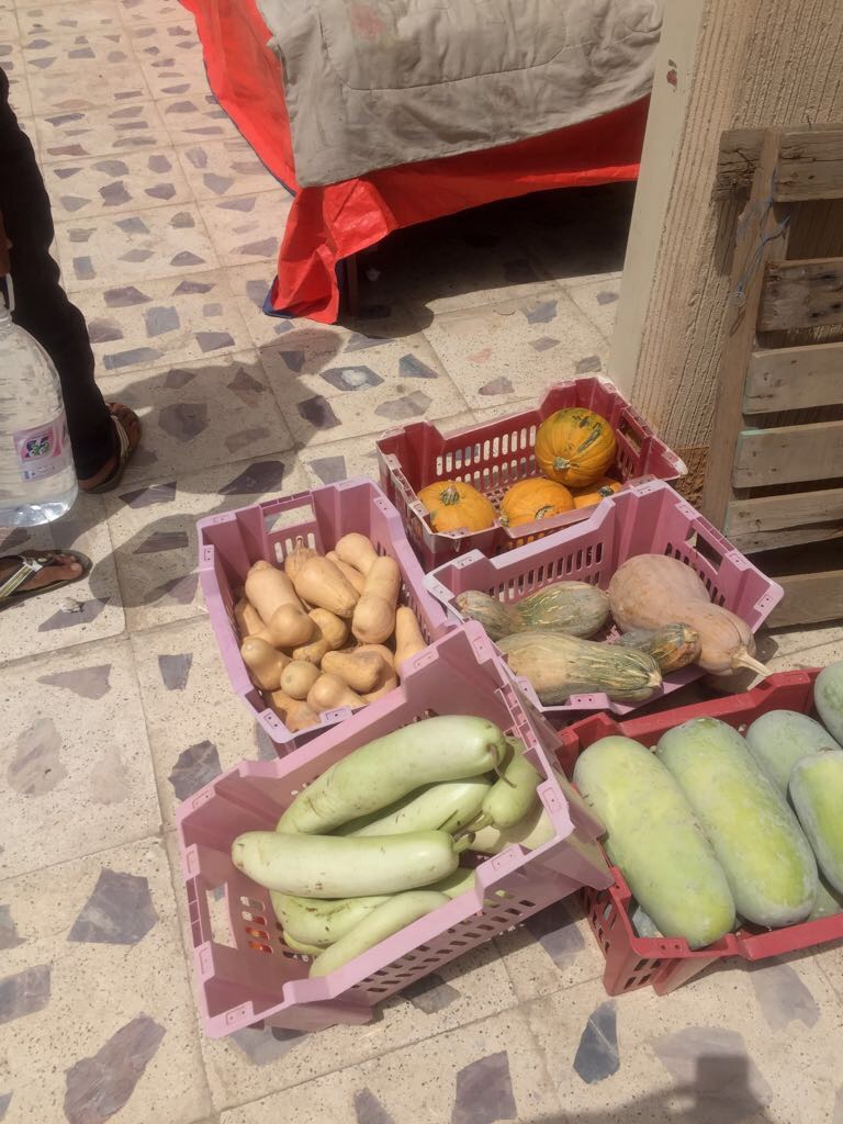 بالصور.. عمالة مخالفة استغلت إجازة العيد لبيع الخضروات الفاسدة في أحد رفيدة