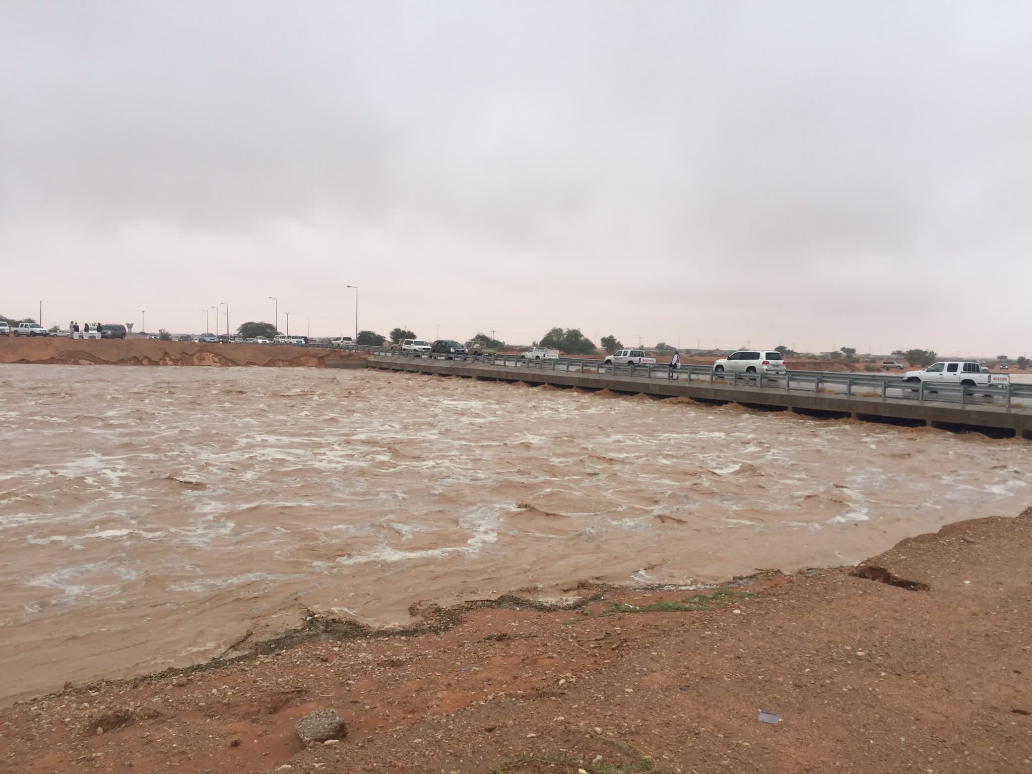 بالفيديو والصور.. جريان سيل وادي رماح وغيلانه شمال شرق الرياض