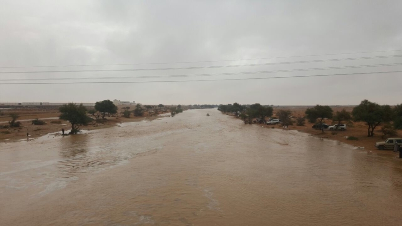 شاهد .. سيل وادي رماح وغيلانه شمال شرق الرياض