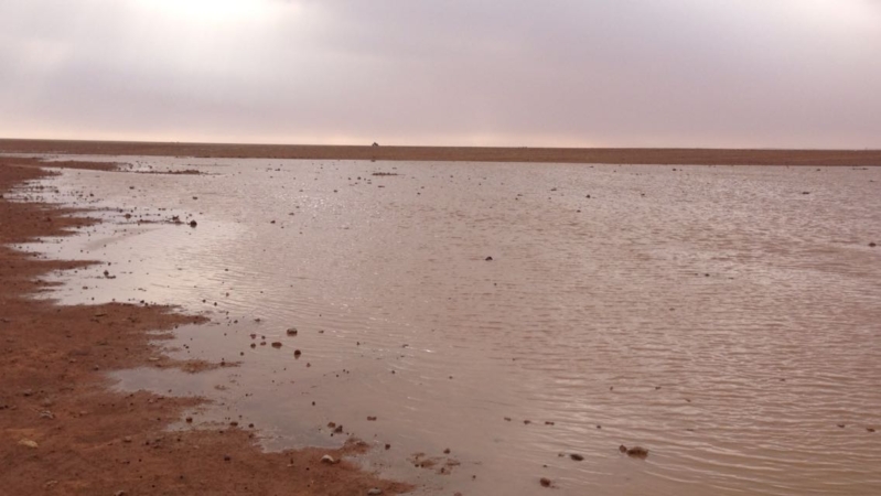 شاهد .. بالصور والفيديو أمطار متوسطة الى غزيرة على رفحاء وضواحيها