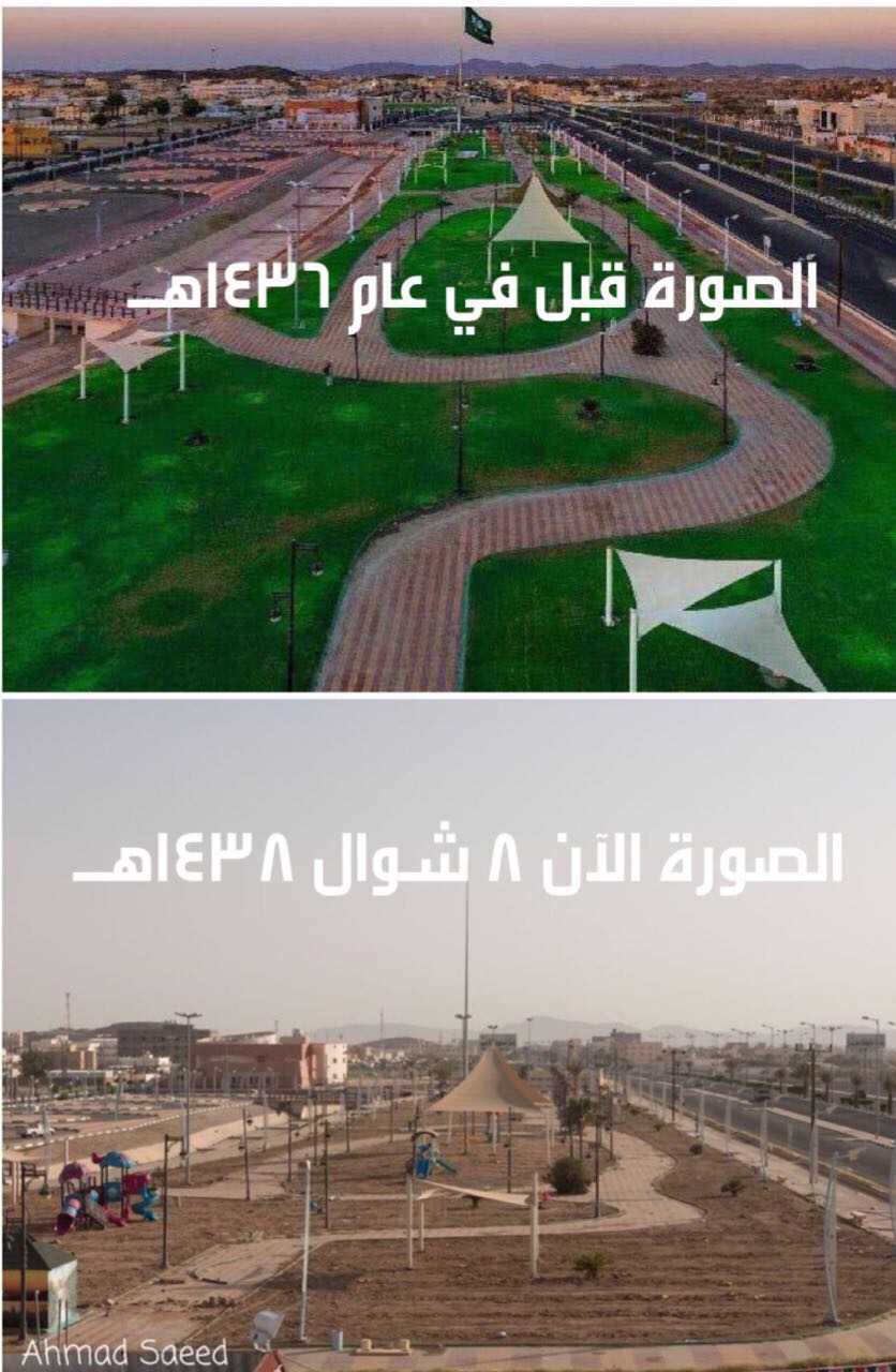 بالصور.. بلدية طريب حجبت الحقائق عن أمانة عسير حول إهمال حديقة الملك عبدالله