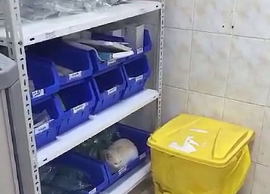 صدمةٌ بعد صورة قطة تسكن صندوق المستلزمات الطبية في مستشفى بمكة