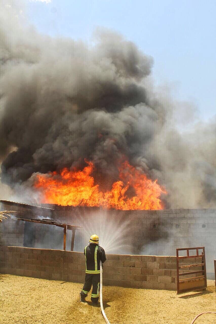بالصور.. مدني حائل يخمد حريقًا بحظيرة أغنام وتحقيقات لمعرفة أسبابه