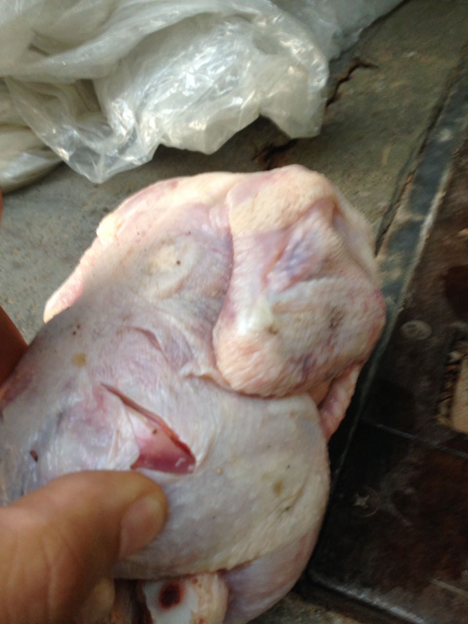 ضبط 4250 كيلو دجاج فاسد في جدة 