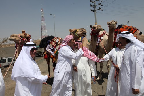 “قافلة الوصل” تجوب طرق التجارة القديمة وصولاً لـ”عكاظ”