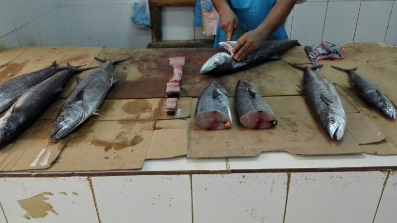 سوق سمك جازان