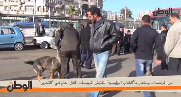 بالفيديو.. استخدام الكلاب البوليسية لتأمين أتوبيسات النقل بمصر