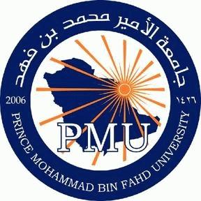جامعة محمد بن فهد تمول 14 بحثاً تطبيقاً لأعضاء هيئة التدريس