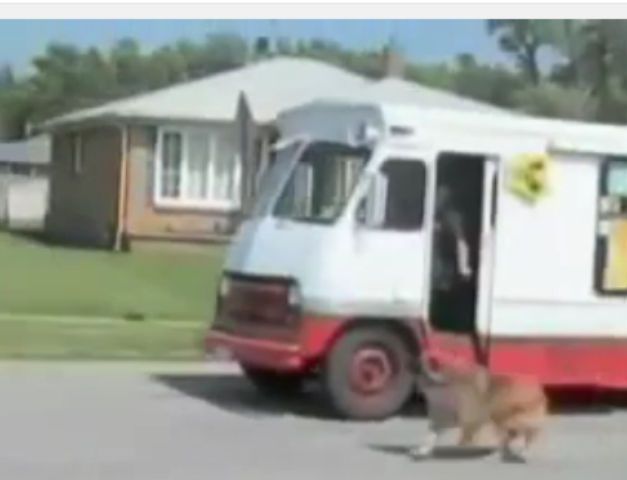 بالفيديو: رد فعل جنوني من كلب عندما يشاهد سيارة بيع الآيس كريم