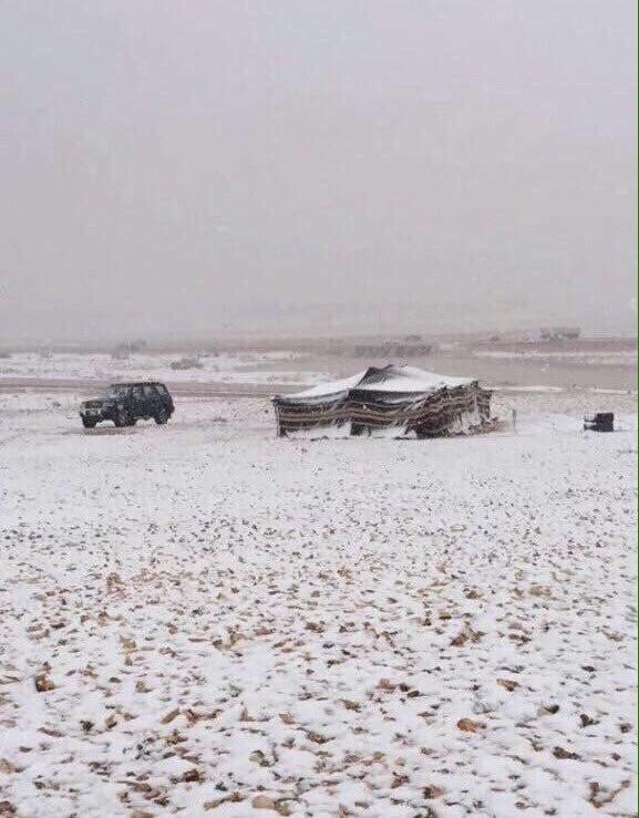  "تويتر" يضج بصور ثلوج #عرعر