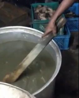بالفيديو.. عامل يطهو كوارع الكلاب لزبائنه في جدة !
