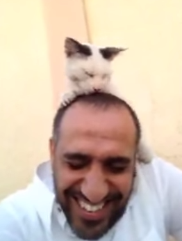 بالفيديو .. شاهد وفاء قطة لمواطن أنقذها من المرض والجوع