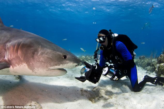 بالصور.. أمريكي يلتقط صوراً لقرش في جزر البهاما