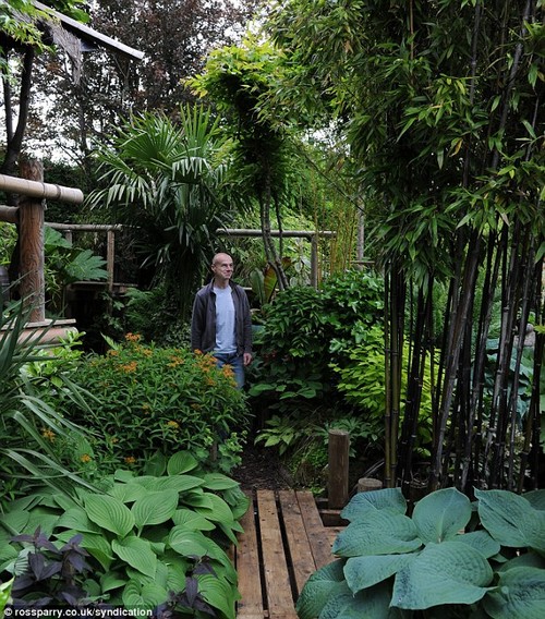بالصور.. بريطاني يحول فناء منزله إلى غابة استوائية