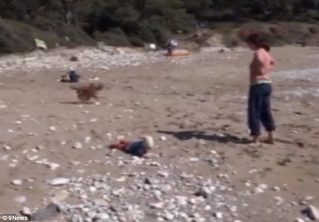 بالفيديو.. كلبٌ شجاع ينقذ طفلاً من الغرق بتركيا