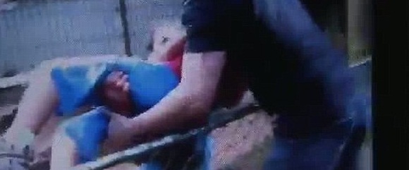 بالفيديو… صبي يتعرض لبتر ذراعه بعد مهاجمة أحد النمور له