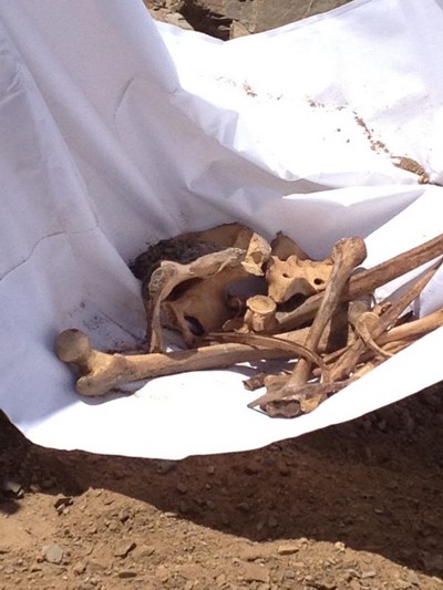 مفتي المملكة يوجه بدفن 9 جثث في مقبرة ظلم