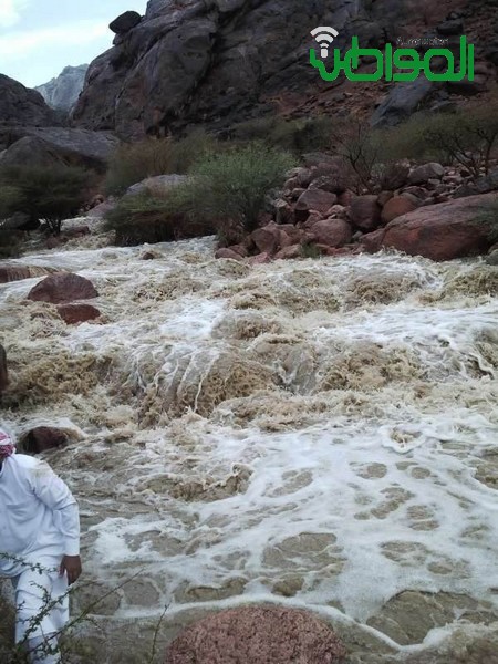 بالصور ..أمطار غزيرة على رنية لليوم الثالث على التوالي