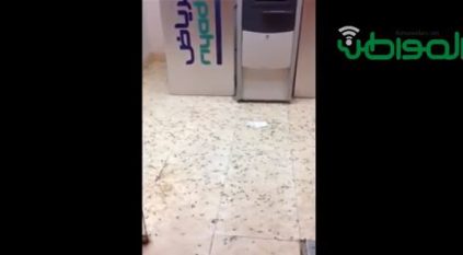 بالفيديو.. صراصير في غرفة صراف بنك الرياض !