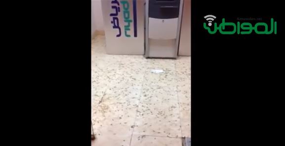 بالفيديو.. صراصير في غرفة صراف بنك الرياض !