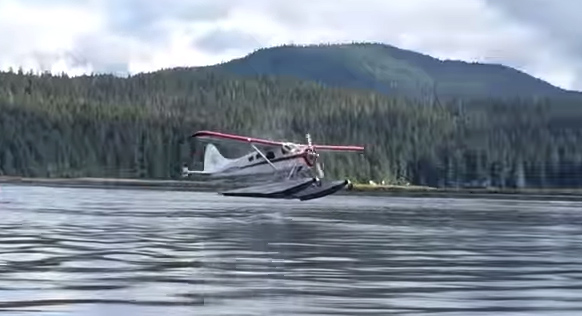 بالفيديو.. طائرة كادت تصطدم بحوت في آلاسكا