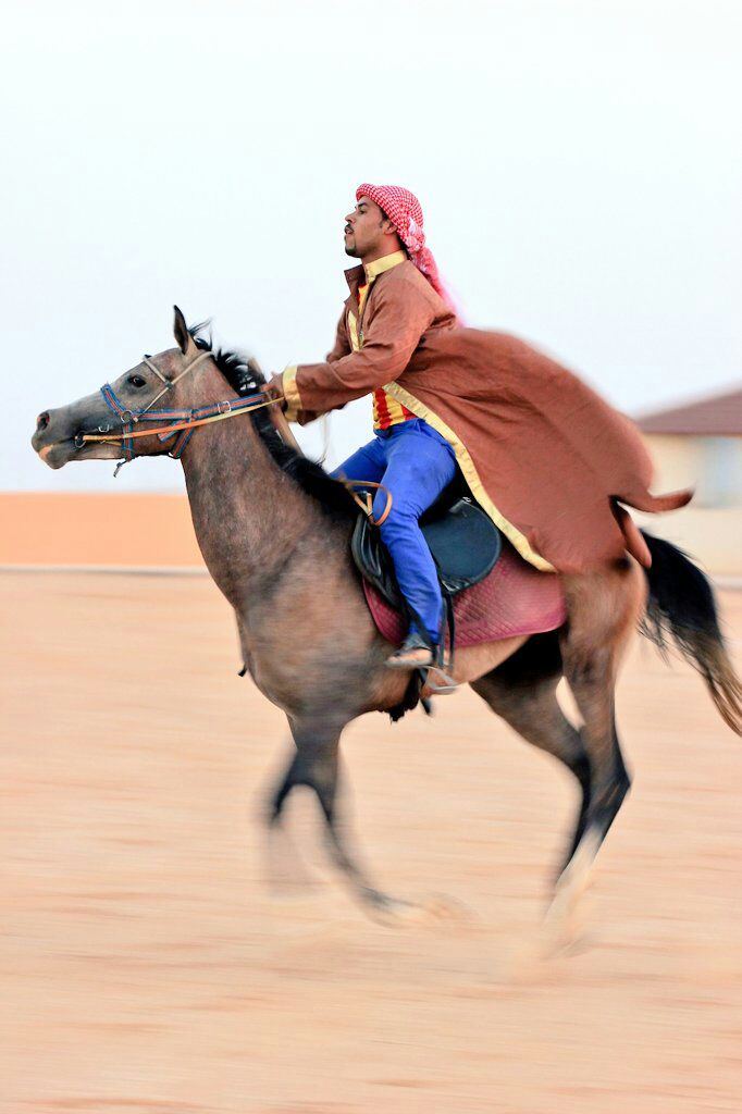 عروض الهجن والهجانة والخيل في مهرجان صيف عرعر 37