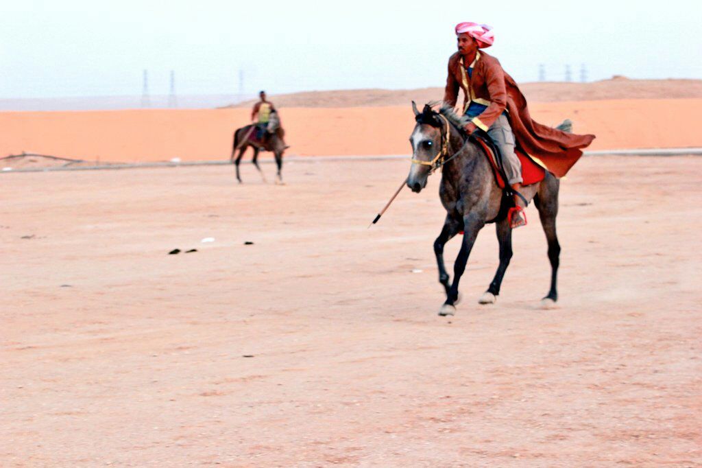 عروض الهجن والهجانة والخيل في مهرجان صيف عرعر 37